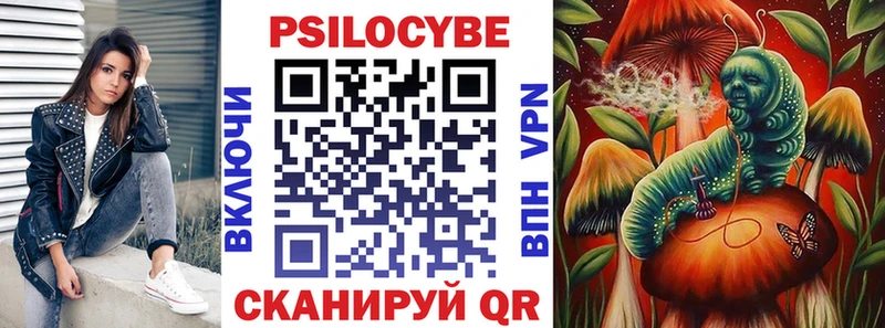 Псилоцибиновые грибы Psilocybine cubensis  Амурск 